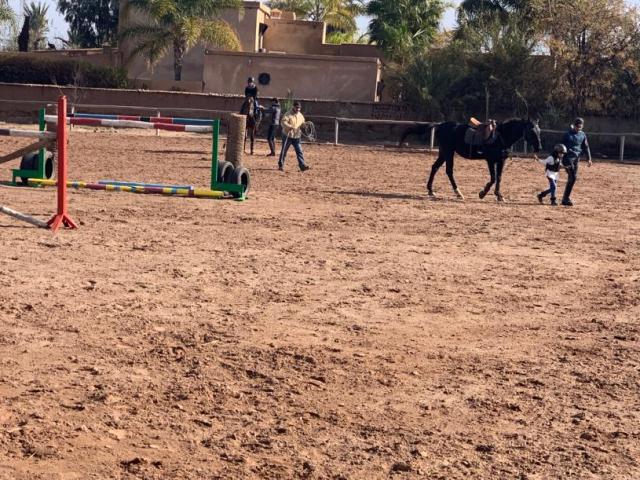 Club Équitation Club Équitation
