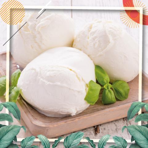 Fromage Mozzarella