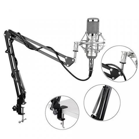 Microphone professionnel