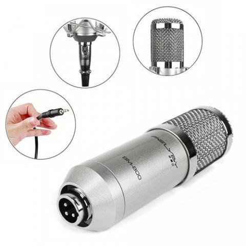 Microphone professionnel