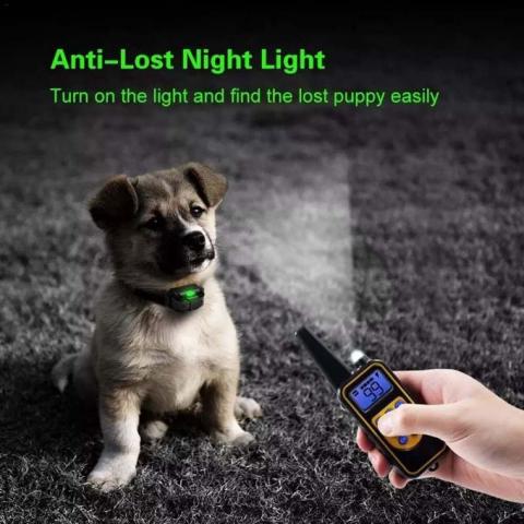 Collier de dressage pour chiens électrique rechargeable