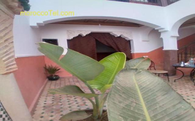 Riad 9 Derb El Bousnne Marrakech Médina Riad 9 Derb El Bousnne Marrakech Médina